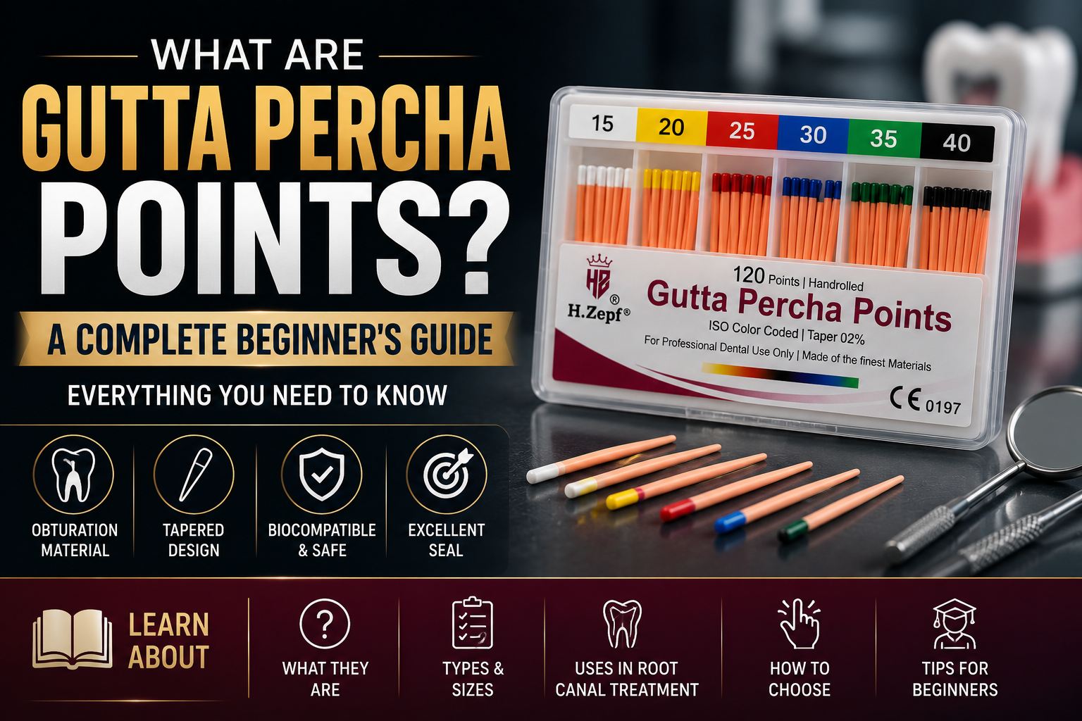 What Are Gutta Percha Points? A Complete Beginner's Guide