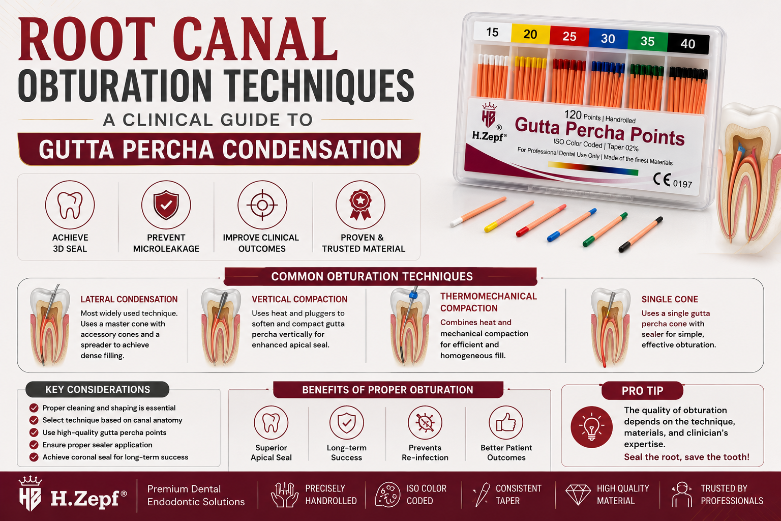 Root Canal Obturation Techniques — A Clinical Guide to Gutta Percha Condensation